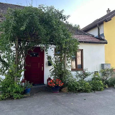Apartment Wohnen Mit Garten Lillys 3 Oder Julis 1